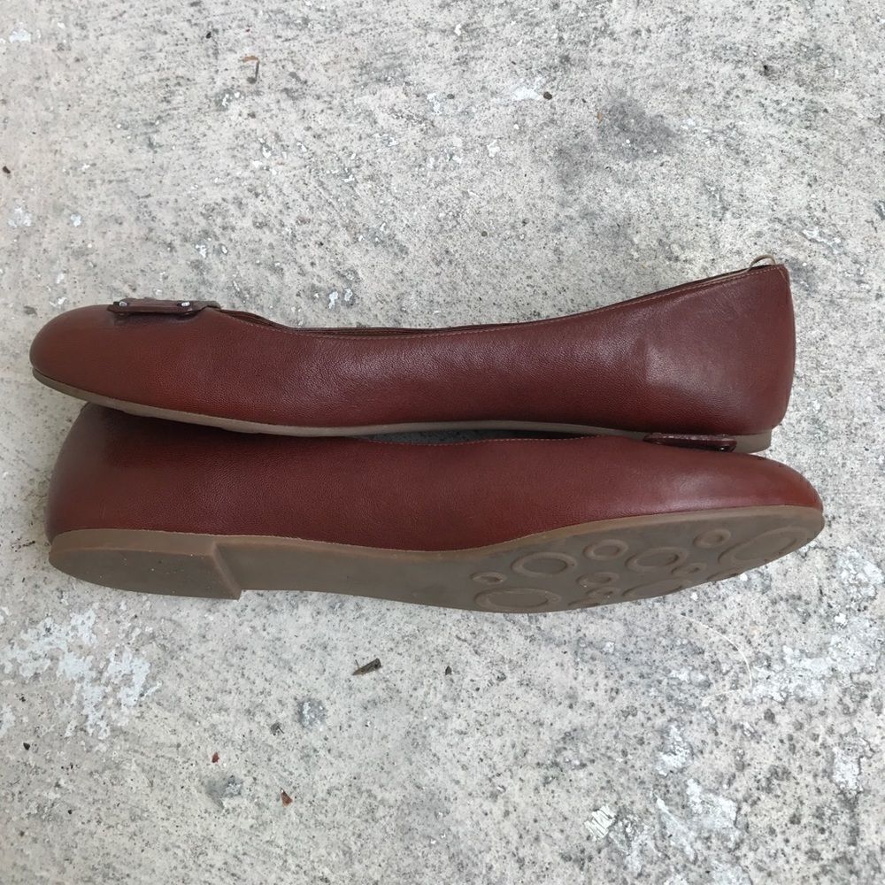 Marc Flats - Picture 2 of 5